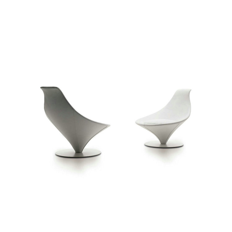 Desiree Coco Lounge Chair